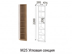 М25 Угловая секция в Тарко-Сале - tarko-sale.magazinmebel.ru | фото