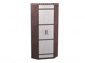шкаф 2-х дверный угловой в Тарко-Сале - tarko-sale.magazinmebel.ru | фото