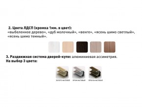 Шкаф-купе Акцент-Сим Д 1200-600 шимо тёмный в Тарко-Сале - tarko-sale.magazinmebel.ru | фото - изображение 3